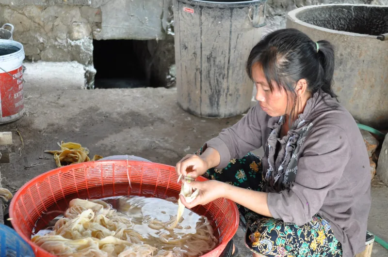 A woman in Luang Prabang hand-shreds soaked bark strips in a red basin for traditional papermaking.