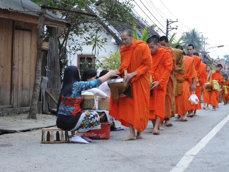 A woman kneels to offer food into a line of saffron-robed monks' bowls during the morning alms ceremony in Luang Prabang.