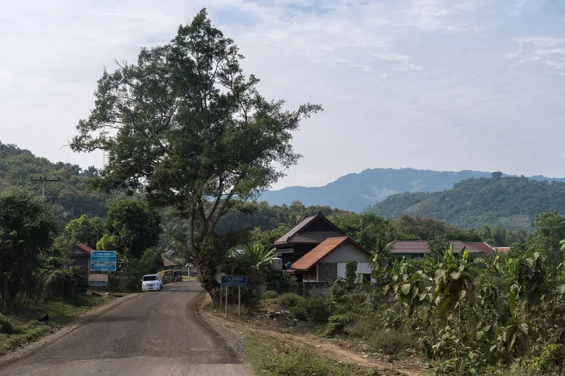 A rural road winds past a large tree and traditional houses with mountains in the background near Luang Prabang.