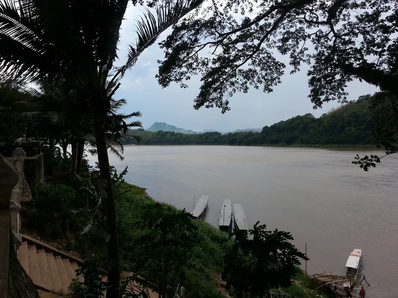 Wooden boats moored along the Mekong River viewed through palm trees in Luang Prabang, Laos.
