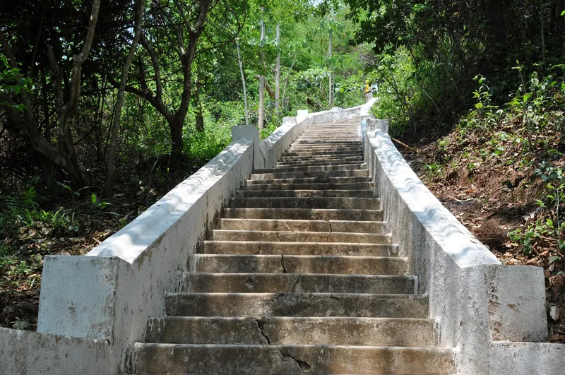A worn concrete staircase with white balustrades climbs through a forested hillside near Luang Prabang.